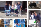 Mykonos Pet Policy: “Stray Care Innovation” - Καινοτομία στη Φιλοζωική μέριμνα του Δήμου για Αδέσποτα με νέα γατόσπιτα “Feederini”