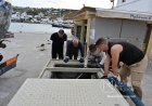 Mykonos Infrastructure Resilience: Η συνεχής επιχειρησιακή παρουσία της ΔΕΥΑΜ διασφαλίζει την Υπόγεια Σταθερότητα στην Χώρα Μυκόνου