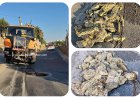 Infrastructure Resilience: Η ΔΕΥΑ Μυκόνου εξυγιαίνει το δίκτυο λυμάτων με προληπτικό καθαρισμό από το στερεοποιημένο λίπος στην Αγία Σοφία
