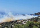 Andros Wildfire Emergency: Μεγάλη φωτιά στην Άνδρο! Το 112 ενημέρωσε τους πολίτες για εκκενώσεις από Παλαιόπολη και Κόλυμπο προς Μπατσί και Χώρα!