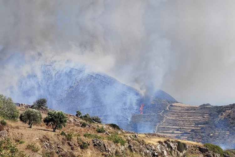 Municipal Negligence: Συνελήφθησαν ο Δήμαρχος Πάρου, ο Αντιδήμαρχος Καθαριότητας, ο εργολάβος του Φο.Δ.Σ.Α και οδηγός απορριμματοφόρου, για τη φωτιά