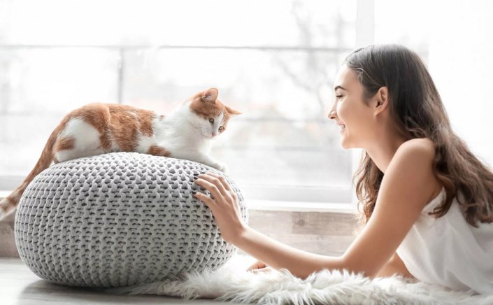 Feline Domestication: Παγκόσμια Ημέρα Γάτας! Το αινιγματικό κατοικίδιο που μας «επέλεξε» πριν 10.000 χρόνια!