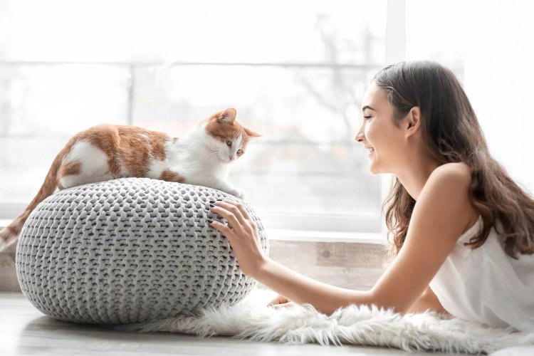 Feline Domestication: Παγκόσμια Ημέρα Γάτας! Το αινιγματικό κατοικίδιο που μας «επέλεξε» πριν 10.000 χρόνια!