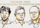 Nobel Prize Medicine 2026 Optogenetics: Το Νόμπελ Ιατρικής 2026 στους Karl Deisseroth, Peter Hegemann & Georg Nagel, τιμώμενοι για την επανάσταση της Οπτογενετικής στον εγκέφαλο - Πώς άλλαξε τη Νευροεπιστήμη